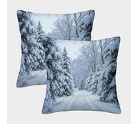 FELASBUID Snowy Forest Path-Winter Landscape Scene Pillow Covers 2 Pack Cozy Pillowcases Cushion Case with Invisible Zipper Decorative for Couch Livingroom 50x50cm