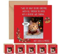 Felbridge Studio - Cat Christmas Cards - Funny Humorous Xmas Card for Daughter Mum Dad Husband Wife Friends Family Cousin Boyfriend Him Her Son - Luxury Fancy Gift - 2021-15cm