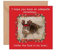 Felbridge Studio - Cat Christmas Cards - Funny Humorous Xmas Card for Daughter Son Mum Dad Husband Wife Friends Family Cousin Boyfriend Him Her Nan - Luxury Fancy Gift - 2022-14cm