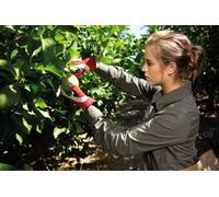 Felco 702 Leather Palmed Work Gloves Extra Large