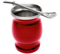 Felenny Mate Cup 8oz Double Walled Stainless Steel Mate Tea Set with Insulated Cup with Filter Straw Easy to Clean