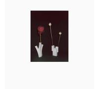 FELICIA ATKINSON - Flower & Vessel