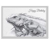 Felicitas Stunning Birthday Card - Beautiful Iguana Lizard Drawing - Unusual Fine Art Wildlife Design - Unique Exclusive Artwork - Reptile - Extra Special Artistic Range of Cards