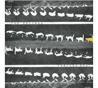 Felines, The - A Man Stuck In Your Mind EP [VINYL]