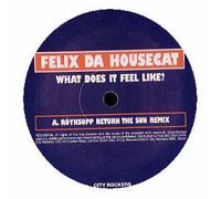 Felix Da Housecat - What Does It Feel Like? [12" VINYL]