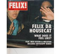 Felix Da Housecat - What Does It Feel Like?