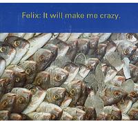 Felix - It Will Make Me Crazy