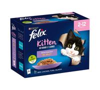 FELIX As Good As it Looks Kitten Fish in Jelly Wet Cat Food 12x85g