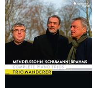 Felix Mendelssohn - Mendelssohn/Schumann & Brahms: Complete Piano Trios - CD ...