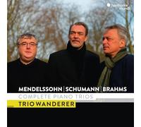 Trio Wanderer - Mendelssohn/Schumann & Brahms: Complete Piano Trios