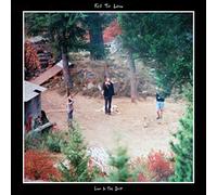 Fell To Low - Low In The Dust [VINYL]