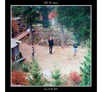 Fell to Low - Low In The Dust [VINYL]