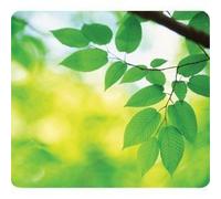 Fellowes 59038 Earth Series Mouse Pad Leaves 6 pack