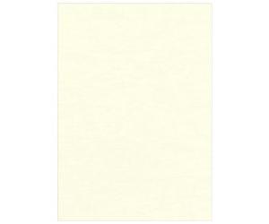Fellowes Binding Cover Delta A4 Pulp Ivory Pack of 100