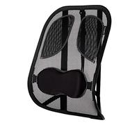 Fellowes Professional Series Mesh Back Support Office Chair with Lumbar Support and Tri-Tensioning, Graphite (Black), standard