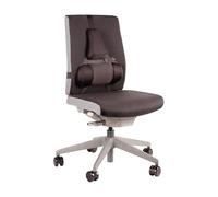 Fellowes Back Support for Office Chair - Professional Series Ultimate Back Support with Antibacterial Protection - H36.5 x W37.5 x D5.5cm