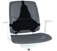 fellowes Professional Series Ultimate Back Support