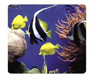Fellowes Recycled Mouse Mat - Non-Slip Rubber Base - Easy to Clean Mouse Pad - Made from Recycled Materials - Optical & Laser Mouse Compatible - 228 x 203 x 2mm - Under the Sea