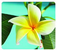 Fellowes Recycled Optical Mouse Pad, Yellow Flower (5913801)