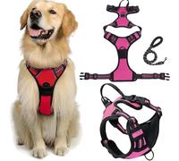 Fellstern Anti-Pull Harness with Traction Rope, Reflektierendes Hundegeschirr für Hunde Ohne Choke, Kontrolle Ohne Ziehen - für Hunde Jeder Größe, für Entspanntes Spazierengehen(Rose,M)