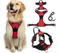 Fellstern Anti-Pull Harness with Traction Rope, Reflektierendes Hundegeschirr für Hunde Ohne Choke, Kontrolle Ohne Ziehen - für Hunde Jeder Größe, für Entspanntes Spazierengehen(Red,L)
