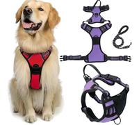Fellstern Anti-Pull Harness with Traction Rope, Reflektierendes Hundegeschirr für Hunde Ohne Choke, Kontrolle Ohne Ziehen - für Hunde Jeder Größe, für Entspanntes Spazierengehen(Purple,M)