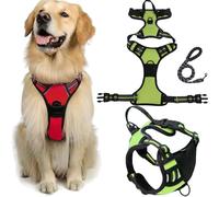 Fellstern Anti-Pull Harness with Traction Rope, Reflektierendes Hundegeschirr für Hunde Ohne Choke, Kontrolle Ohne Ziehen - für Hunde Jeder Größe, für Entspanntes Spazierengehen(Green,S)