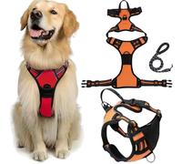 Fellstern Anti-Pull Harness with Traction Rope, Reflektierendes Hundegeschirr für Hunde Ohne Choke, Kontrolle Ohne Ziehen - für Hunde Jeder Größe, für Entspanntes Spazierengehen(Orange,M)