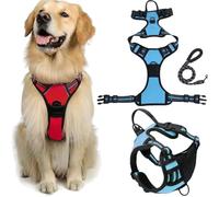 Fellstern Anti-Pull Harness with Traction Rope, Reflektierendes Hundegeschirr für Hunde Ohne Choke, Kontrolle Ohne Ziehen - für Hunde Jeder Größe, für Entspanntes Spazierengehen(Blue,L)