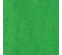 Felt Fabric Sheets 10-Piece, 20 cm Length x 30 cm Width x 0.1 cm Thickness, Green