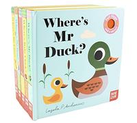 Felt Flaps and the Mirror 5 Books Collection Set ( Where's Mr Lion, Where's Mrs Ladybird, Where's Mr Duck, Where's Baby Chick & Where's Mr Dog)