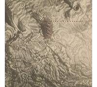 Felt Ignite the Seven Cannons LP Vinyl FLT183 NEW