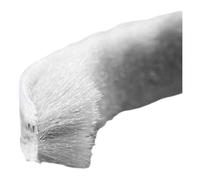 Felt Pile Weather Stripping for Doors, Grey Brush Seal Weather Strip for Garage Doors, Sliding Doors and Windows, Multiple Sizes(Width 0.5CM*Height 1.2CM*Length 2000CM)