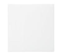 FELTECHELECTR 100pcs Disposable Bird Cage Paper Mats with Absorbent Material and Leak-proof Design, White Bird Cage Cushion Pads for Parrot and Budgie Bedding, Convenient Liner for Easy Cleaning