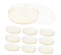 FELTECHELECTR 10pcs Lb Agar Plates Prepoured Petri Dishes Nutrient Agar Medium Laboratory Supplies for Microbiology Experiment Science Fair Project Tool