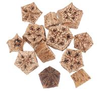 FELTECHELECTR 12Pcs Natural Parrot Foraging Chewing Blocks Bird Cage Accessories Healthy Beak Grinding for Pet Birds and Parakeets