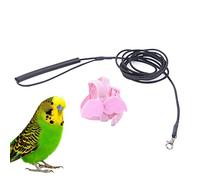 FELTECHELECTR Bird Flying Traction Rope and Angel Wings Design with 2m Elastic Rope Harness and Leash Adjustable Pink Lightweight that Does Not Hurt Pet's Parrot for Flying Freely in Outdoor