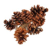 FELTECHELECTR Natural Wood Parrot Chewing with Pinecone, Small Hanging Bird Cage for Parrots, Practical Cage Bite for Foraging and Play in Pet Bird Supplies