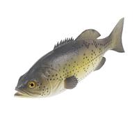 FELTECHELECTR Realistic Artificial Fish for Educational Animal Model with Fine Details Vivid Texture Home and Office Decoration Simulation Fish Plaything