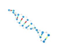 FELTECHELECTR Scientific Double Helix Dna Model Kit, Plastic Human Genes Molecular Assembly, Biology Supply Educational Tool for Classroom and Lab Teaching