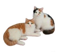 Felted Wool Cat Needle Felting Kit, DIY Cat Craft for Making 3D Felt Animal Figurines, Handmade Orange Tabby, Calico, and Black White Cat Modern Home Decor Supplies(Orange Cat)