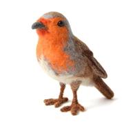 Feltsky Robin Needle Felting Kit for Beginners DIY Craft Kit Include Everything to Make 12cm Height