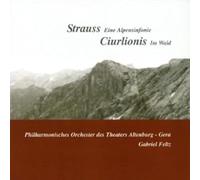 Feltz/Symphonisches Orchester des Theaters Altenburg-Gera - Strauss: An Alpine Symphony - Ciurlionis: Entry into the Wood