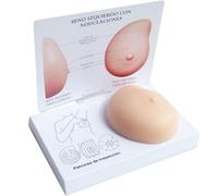 Female Breast Model, Silicone Breast Model Manikins, Breast with Cancer Anatomical Model, Pathological Lumps Breast Self Test Mannequins for Medical Teaching