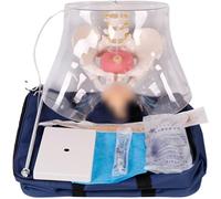 Female Catheterization Anatomy Model,Transparent Catheter Model Internal External Genital Simulator Kit for Intuitive Practical