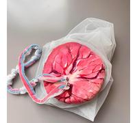 Female Childbirth Model Advanced Childbirth Training Simulator with Newborn, Pelvis and Detachable Umbilical Cord Interactive Midwifery Education Tool for Obstetric Skills Practice (Placenta)