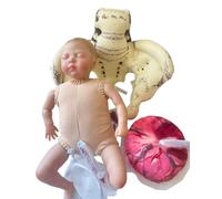 Female Childbirth Model with Fetus, Umbilical Cord & Placenta - Medical Teaching Simulator for Anatomy Display and Childbirth Education