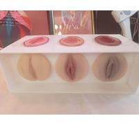 Female Gynecological Manikin Model,Vulva/Clitoris Model Foreskin Urethra Reproductive Tract Model for in-Depth Exploration of The reproductive tract's Structure and Functions (White Upgrade)