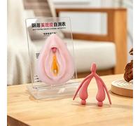 Female Gynecological Model Vulva Combo Model Human Reproductive System Anatomy Clitoris Model for Science Classroom Studies Display Teaching 2 Pcs and Support