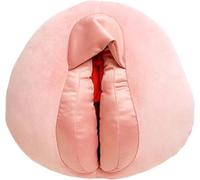 Female Gynecological Vulva Model Anatomical Human Reproductive System Anatomy Health Education Gift for Classroom Display Teaching Women Gynecologist Educational